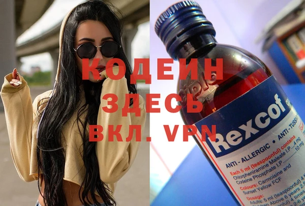 прущие грибы Балахна