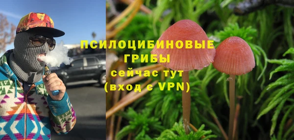 молекула духа Баксан