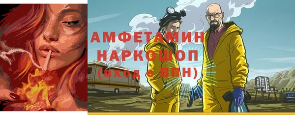 прущие грибы Балахна